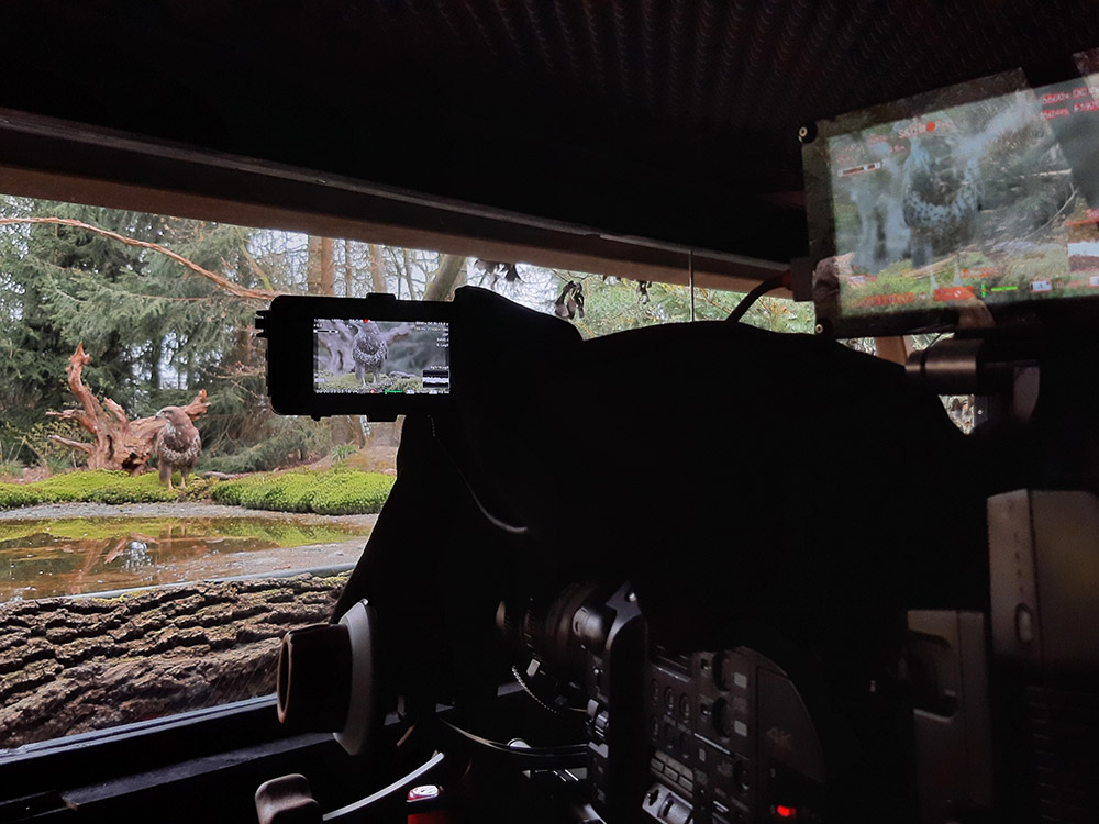 natuur docu documentaire vogelhut vogelspotten cameraman sfeervolle observatie wilde natuur prachtige vogelsoorten geavanceerde opnametechnieken