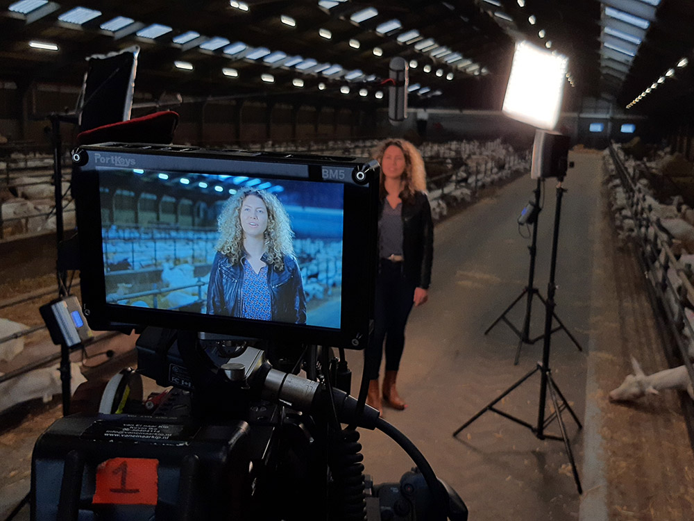 videoproducties bedrijven barneveld